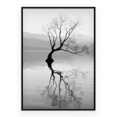 Poster  Arbre sur un lac avec des montagnes en arrière-plan en noir et blanc
