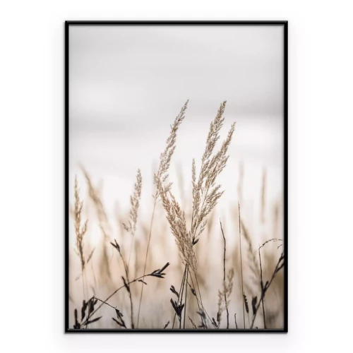 Poster  Herbe sèche sur un paysage de prairie