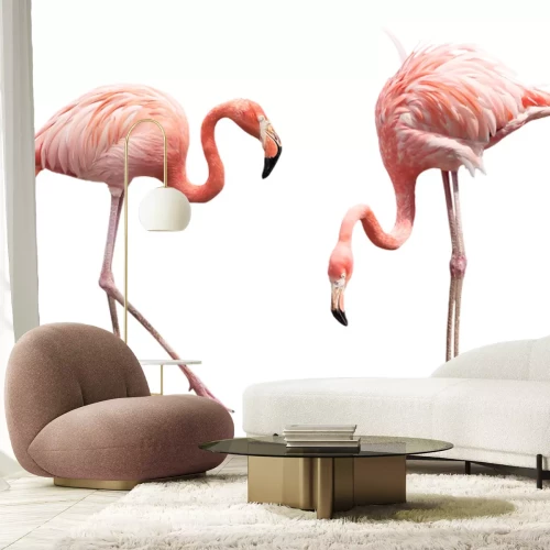 Papier peint  Portrait d'oiseaux rose clair