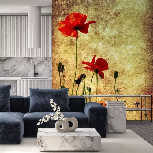 Papier peint  Coquelicots sur fond vieilli
