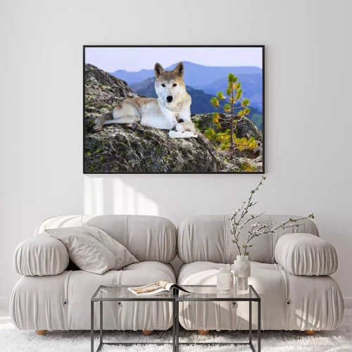 Visualisation du produit