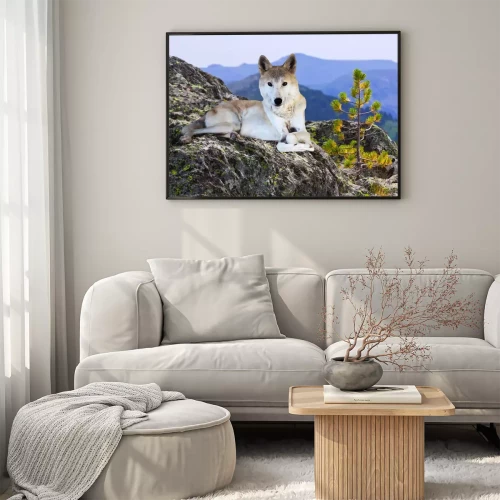 Visualisation du produit