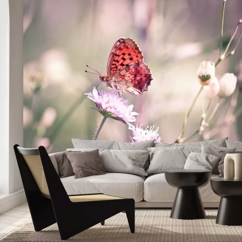 Papier peint  Papillon orange sur une fleur blanche