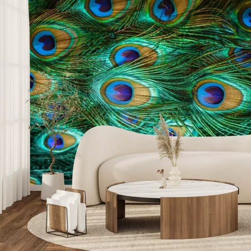 Papier peint  Plumes de paon colorées