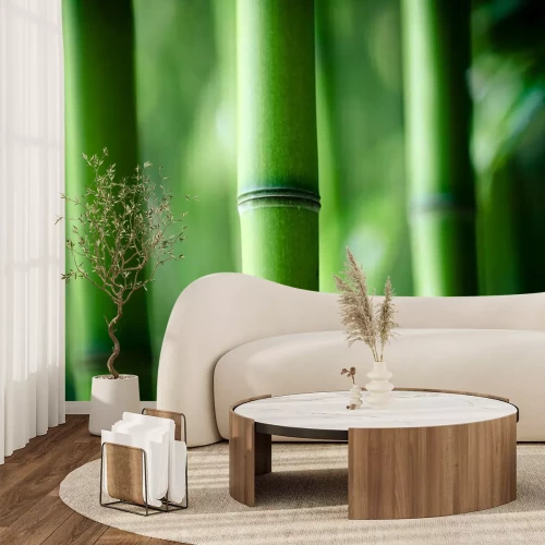 Papier peint  Gros plan d'un tronc de bambou