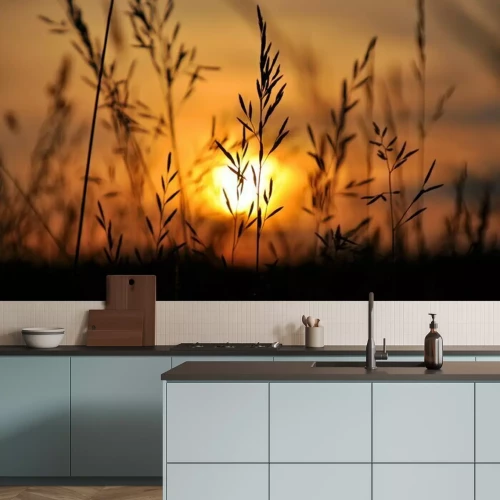 Papier peint  Un champ d'herbe et la nature