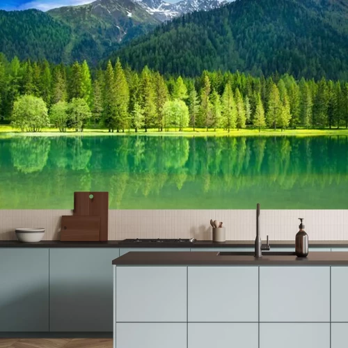 Papier peint  Forêt verte et collines