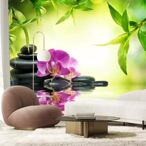 Papier peint  Orchidée, pierres et plantes vertes