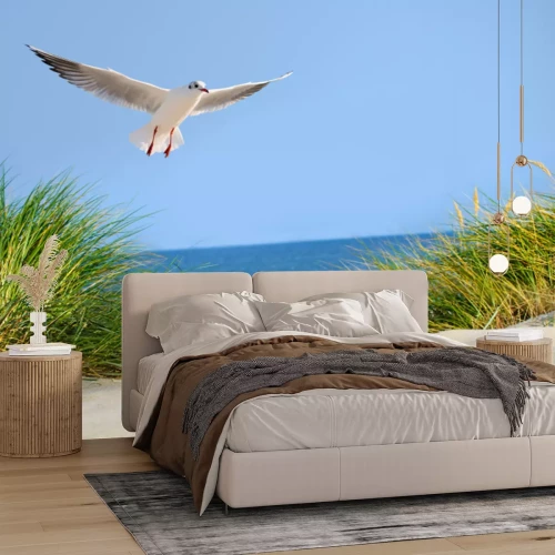 Papier peint  Les dunes de mouettes et la mer