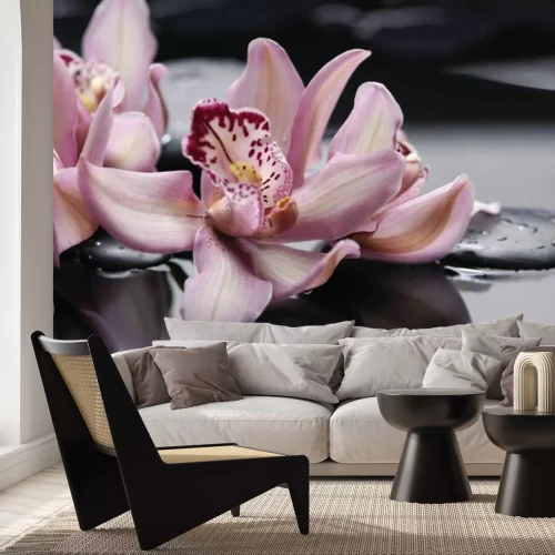 Papier peint  Orchidée rose sur des pierres zen dans l'eau
