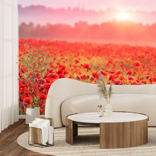 Papier peint  Champ de coquelicots rouges au coucher du soleil