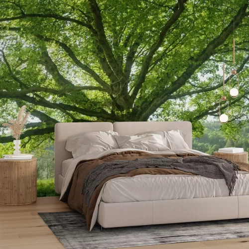 Papier peint  Chêne en 3D