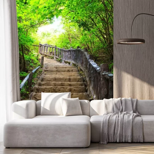 Papier peint  Des marches dans une forêt d'arbres à feuilles