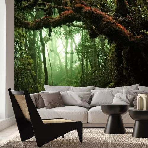 Papier peint  Jungle tropicale sombre