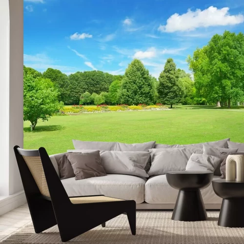 Papier peint  Prairie dans un parc