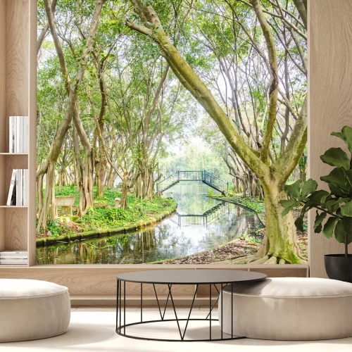 Papier peint  Arbres dont les racines ne sont pas couvertes