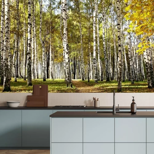 Papier peint  Chemin à travers les bouleaux d'automne