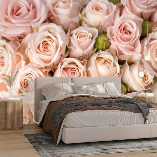 Papier peint  Boutons de roses rose clair