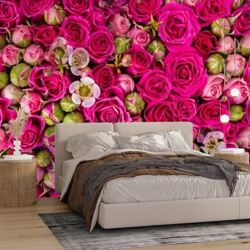 Papier peint  Roses ouvertes et boutons fermés