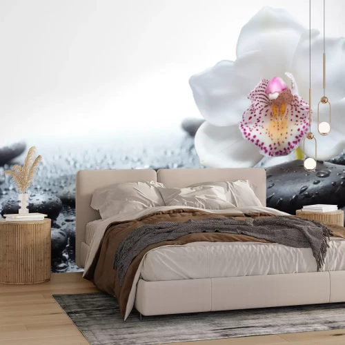 Papier peint  Orchidée blanche et pierres noires avec de l'eau
