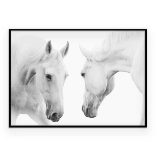 Poster  Deux chevaux se regardant droit dans les yeux.