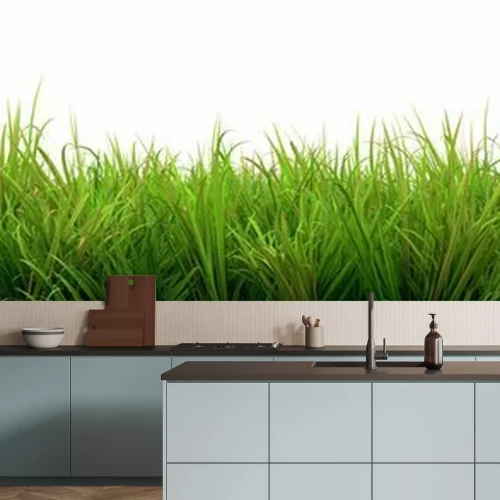 Papier peint  Touffes d'herbe verte