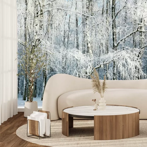 Papier peint  Bouleaux d'hiver dans la forêt