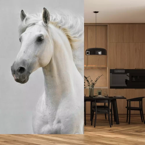 Papier peint  Cheval arabe qui court