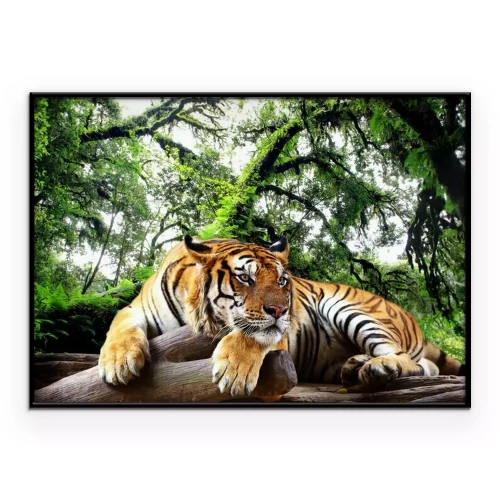 Poster  Un tigre se reposant dans la jungle