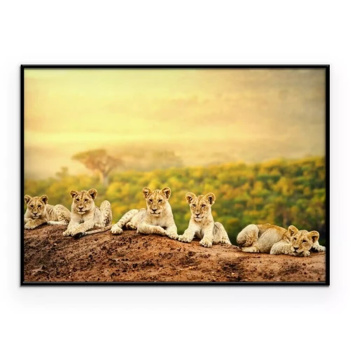 Poster  Lionceaux attente ensemble.