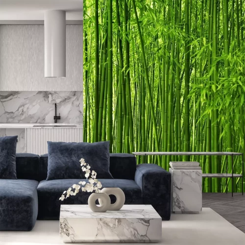 Papier peint  Forêt dense pleine de bambous