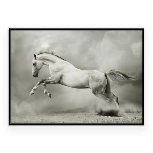 Poster  Un cheval sautant sur le sable
