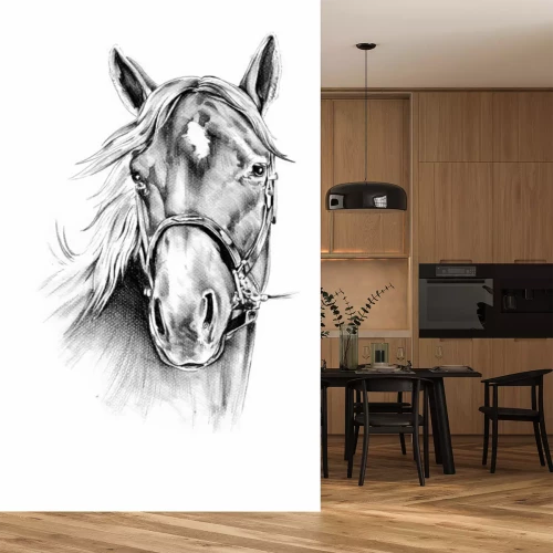Papier peint  Portrait de cheval dessin
