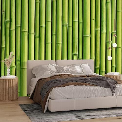 Papier peint  Vert bambou fond de clôture