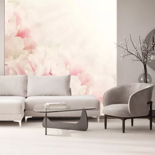 Papier peint  Arrière-plan abstrait de pivoines floues