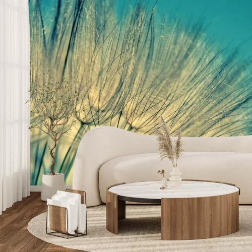 Papier peint  Gros plan d'un pissenlit sur fond de ciel