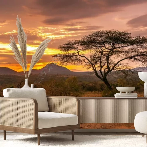 Papier peint  Coucher de soleil sur la savane