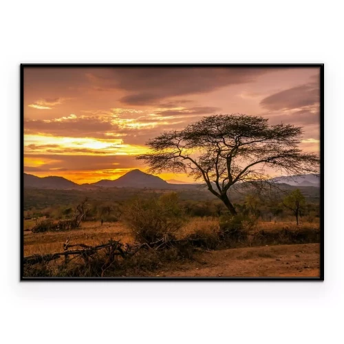 Poster  Coucher de soleil sur la savane