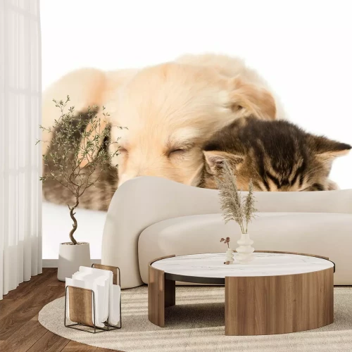 Papier peint  Chien et chat endormis