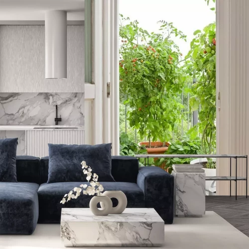 Papier peint  Vue de plants de tomates en pot sur un balcon