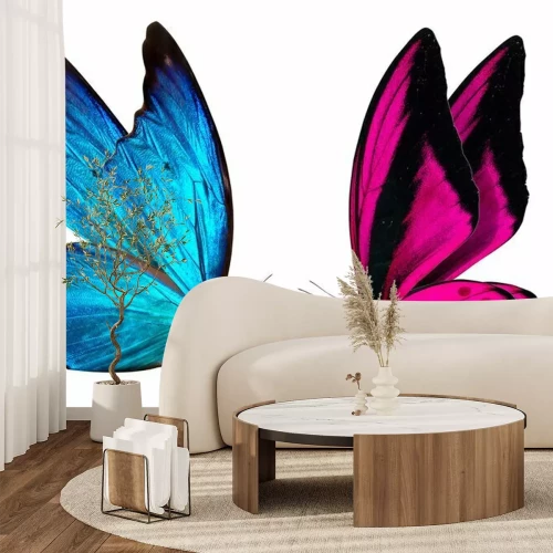 Papier peint  Deux papillons qui se regardent