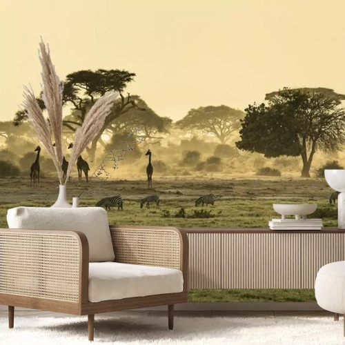 Papier peint  Savane au lever du soleil