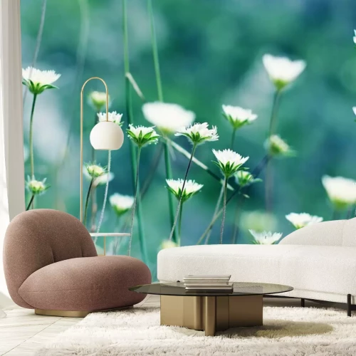 Papier peint  Fleurs en fleur dans une prairie