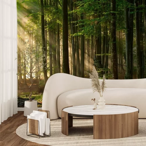 Papier peint  Nature vert bois soleil milieux.