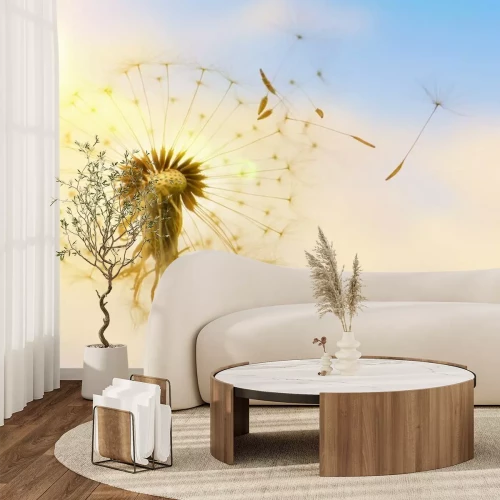 Papier peint  Pissenlit et graines au vol