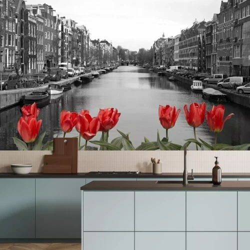 Papier peint  Tulipes rouges dans amsterdam