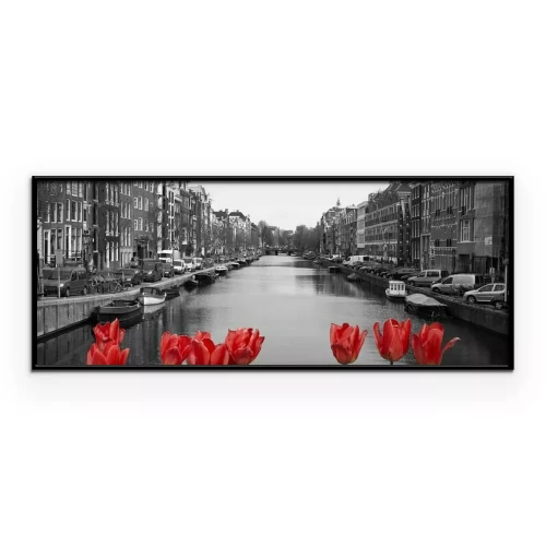 Poster  Tulipes rouges dans amsterdam