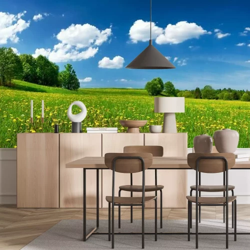 Papier peint  Prairie avec des pissenlits et ciel bleu