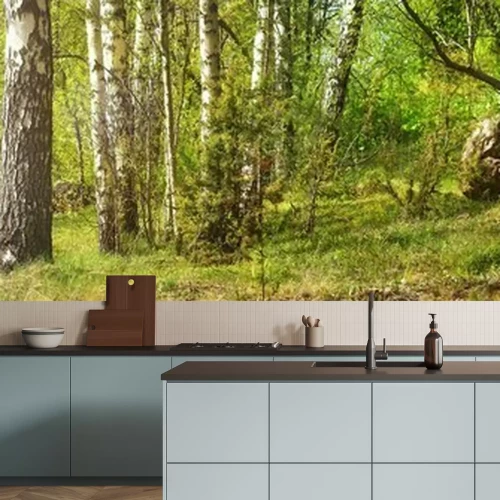 Papier peint  Panorama de troncs de bouleaux