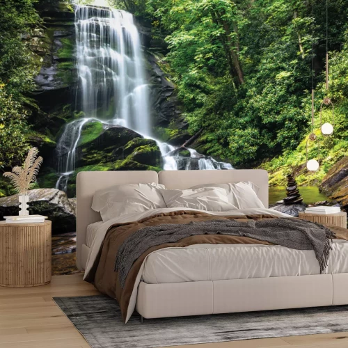 Papier peint  Cascade supérieure de Catawba dans la forêt